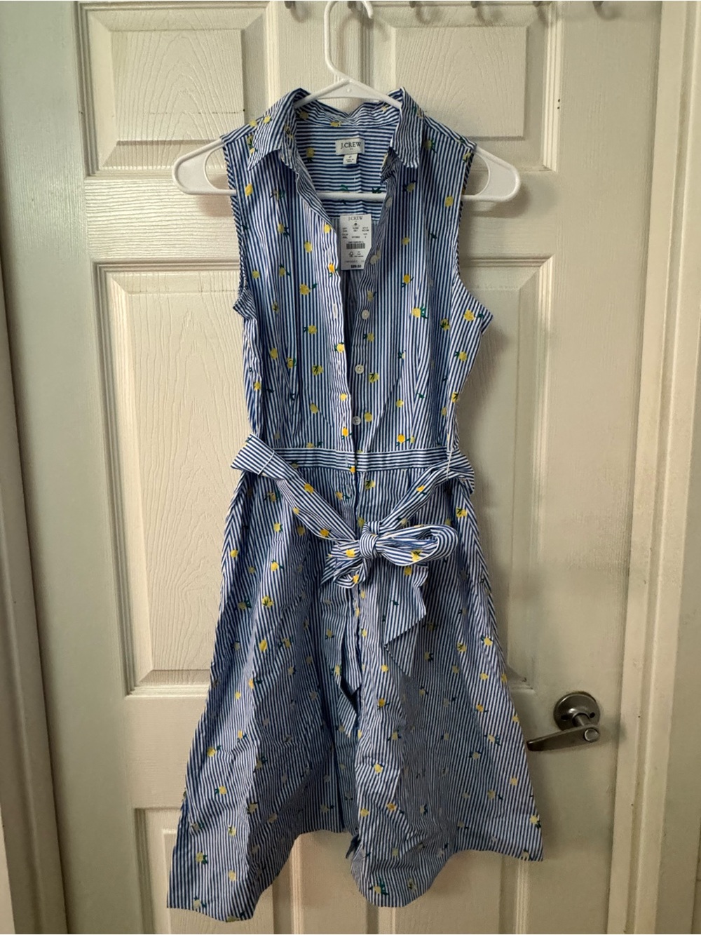 J.Crew Sleeveless Striped Shirt Dress with Lemon Print